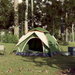 vidaXL Camping Tent Dome 4-Person Green Quick Release - Weatherproof & Cozy Camping Experience 4 Man Tent Cosy Camping Co.   